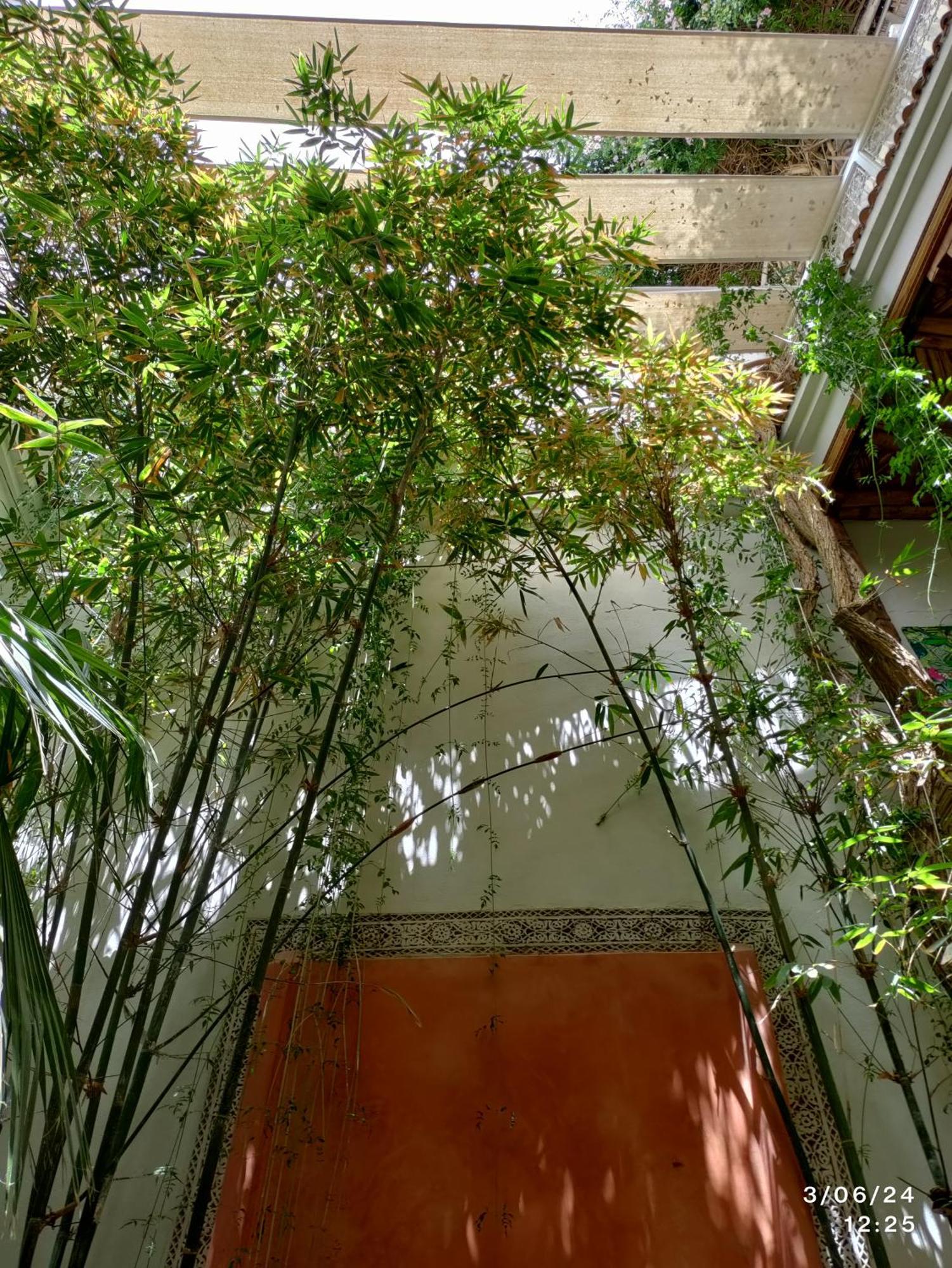 Appartamento Made In Berbere Marrakesh Esterno foto