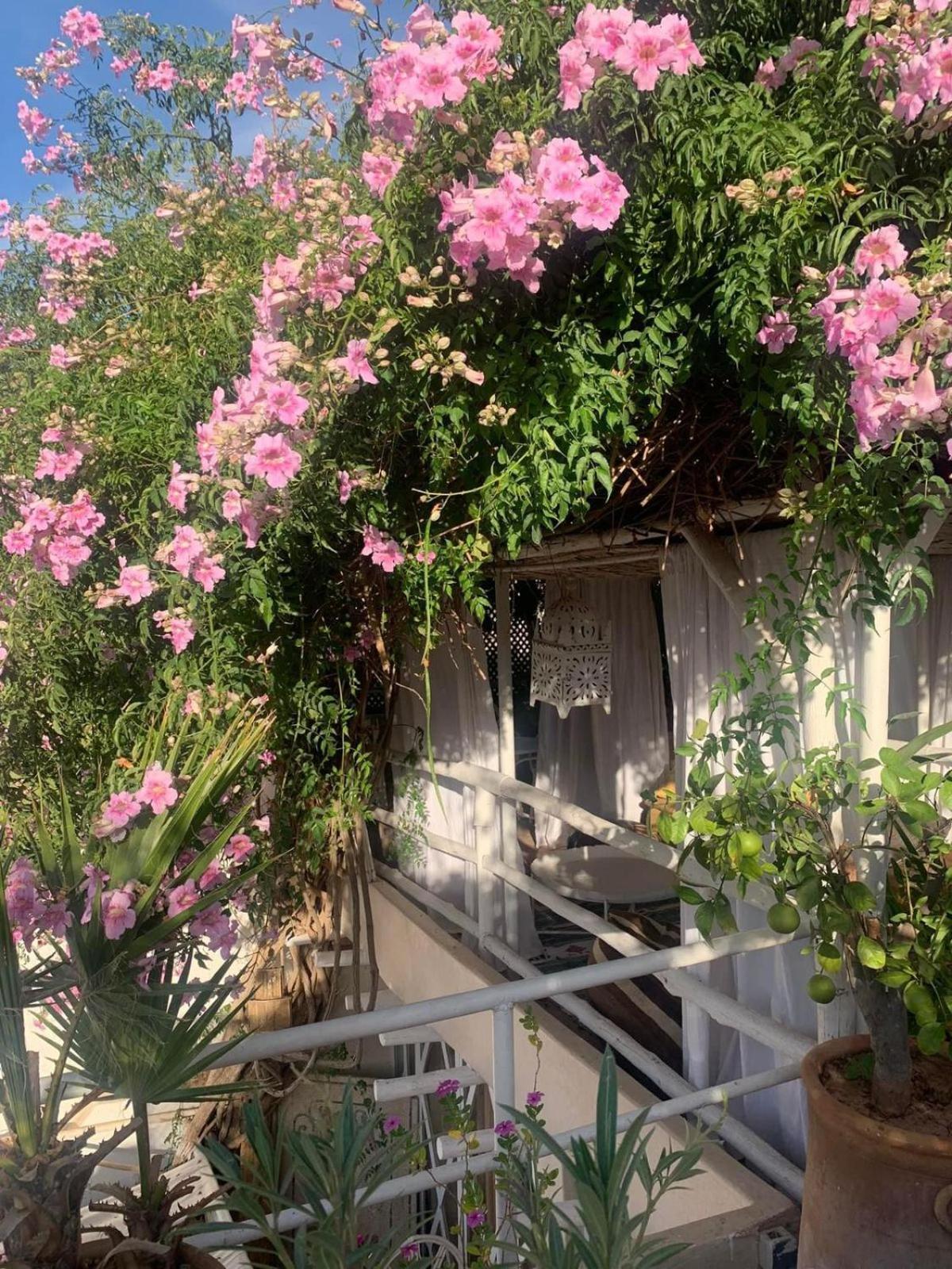 Appartamento Made In Berbere Marrakesh Esterno foto